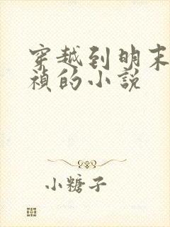 穿越到明末当崇祯的小说