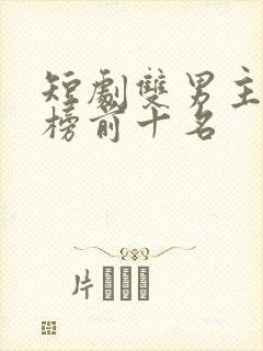 短剧双男主最热榜前十名