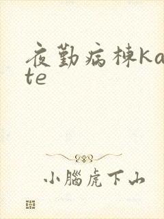 夜勤病栋karte封面