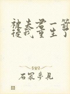 被夫君一箭穿心后我重生了