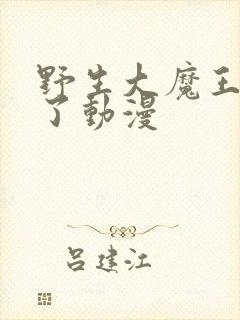 野生大魔王出现了动漫封面