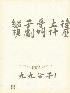 继子爱上后妈电视剧叫什么