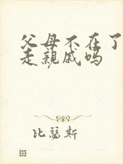 父母不在了还要走亲戚吗封面