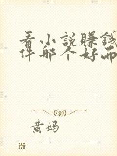 看小说赚钱的软件哪个好而且免费