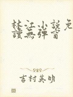 林江小说免费阅读无弹窗