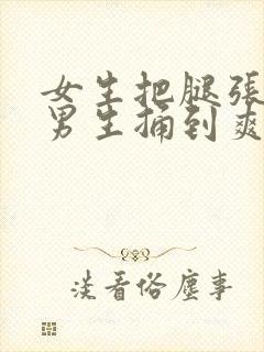 女生把腿张开让男生捅到爽