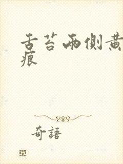 舌苔两侧黄有齿痕