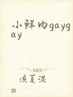 小鲜肉gaygay封面