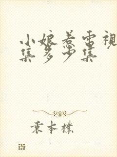 小娘惹电视剧全集多少集封面