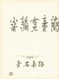 小说女主沈安安萧渊免费阅读