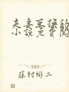 夫妻互换的现言小说免费阅读全文无弹窗封面