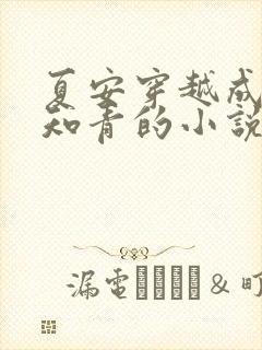 夏安穿越成下乡知青的小说