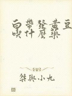 白带发黄豆腐渣吃什么药封面