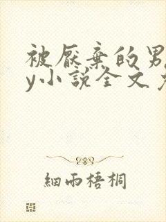 被厌弃的男妻by小说全文免费阅读封面