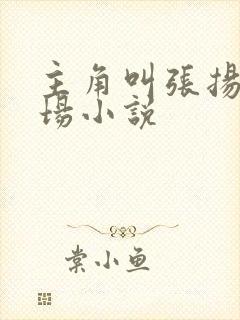 主角叫张扬的官场小说封面