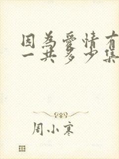 因为爱情有多美一共多少集?