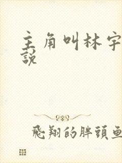 主角叫林宇的小说封面