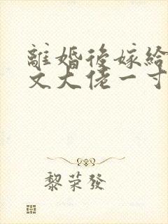 离婚后嫁给年代文大佬一寸墨