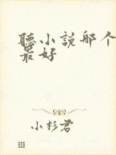 听小说哪个软件最好