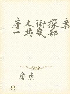 唐人街探案网剧一共几部