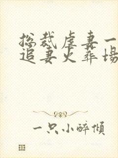 总裁虐妻一时爽追妻火葬场的小说