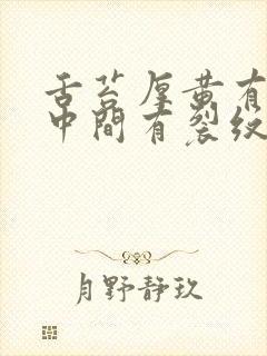 舌苔厚黄有齿痕中间有裂纹