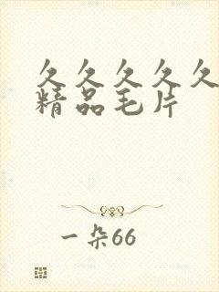 久久久久久国产精品毛片