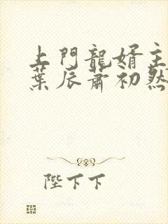 上门龙婿主人公叶辰萧初然封面