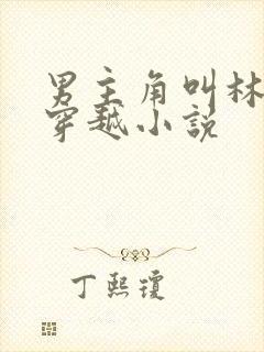 男主角叫林凡的穿越小说封面