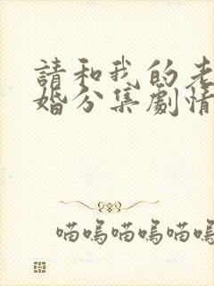 请和我的老公结婚分集剧情