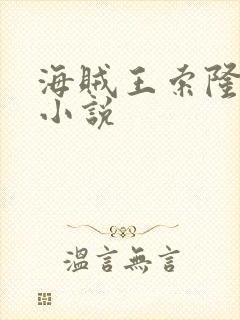 海贼王索隆同人小说