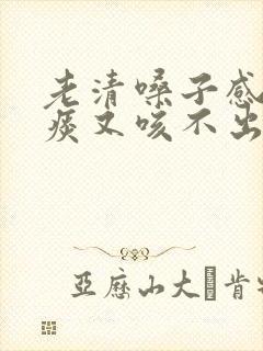 老清嗓子感觉有痰又咳不出来封面