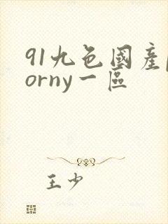 91九色国产porny一区