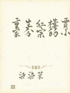 重生红楼贾琏分家分宗的小说