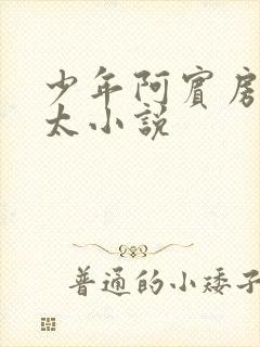 少年阿宾房东太太小说