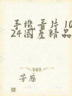 手机看片 1024国产精品