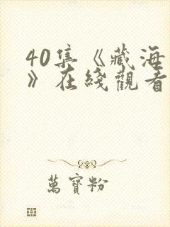 40集《藏海传》在线观看