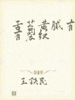 舌苔黄腻有齿痕有裂纹