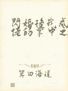 闪婚后我成了大佬的掌中之物,