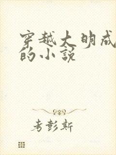 穿越大明成崇祯的小说