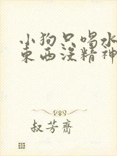 小狗只喝水不吃东西没精神呕吐怎么办