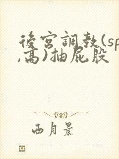 后宫调教(sp,高)抽屁股