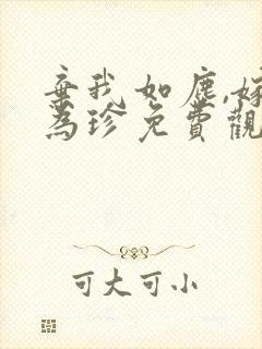 弃我如尘,嫁你为珍免费观看封面