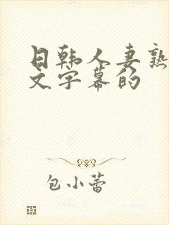 日韩人妻熟女中文字幕的