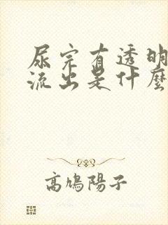 尿完有透明粘液流出是什么原因?封面