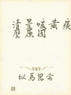 清晨咳黄痰是什么原因