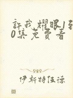 许我耀眼1到40集免费看