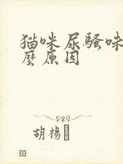 猫咪尿骚味重什么原因