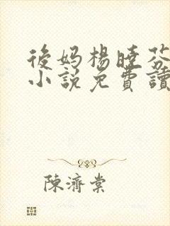 后妈杨晓芬王磊小说免费读