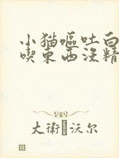 小猫呕吐白沫不吃东西没精神